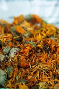 Calendula is a popular flowering herb recognized for its bright orange and yellow blossoms