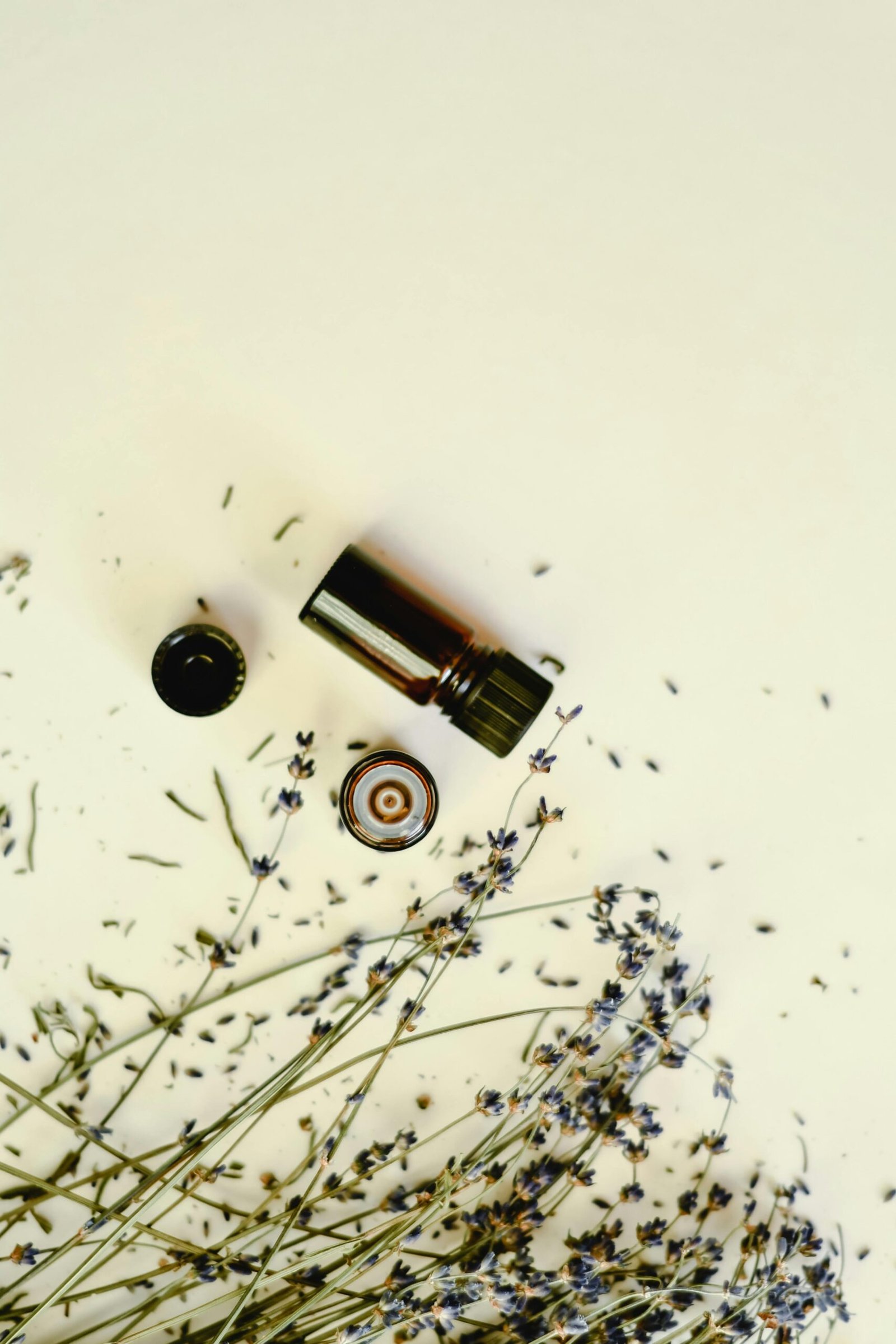 Amazing Benefits of Lavender for Health and Skin