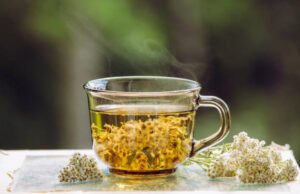 Yarrow Benefits: Top 10 Powerful Uses, Health Benefits & Side Effects